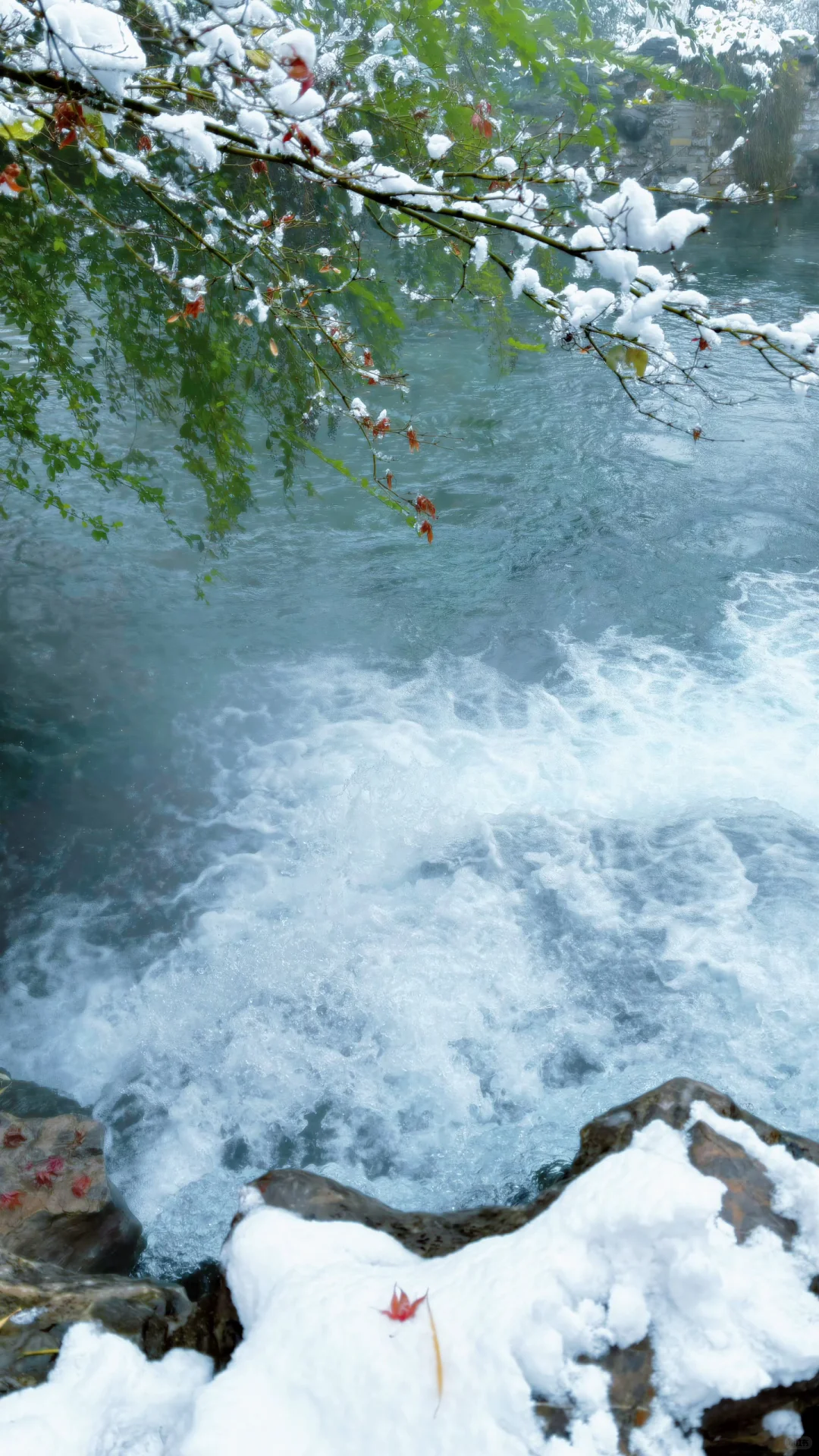 Live济南初雪！趵突泉在雪中沸腾成仙境️❄️
