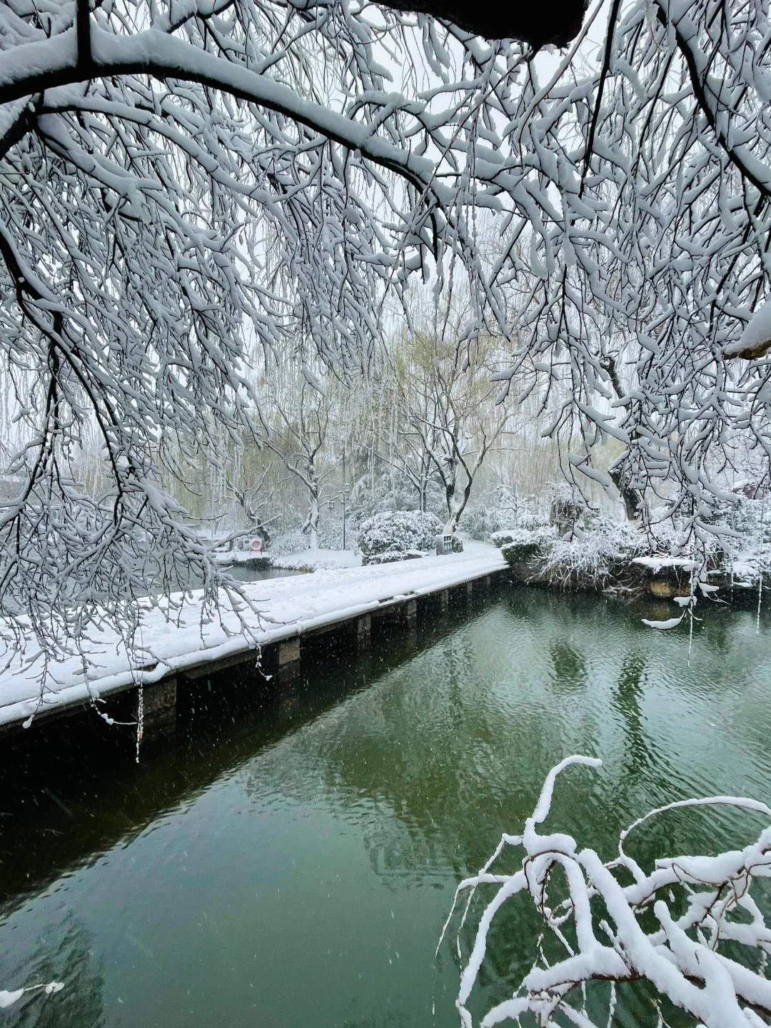 暴雪中的济南府已经美到了next level