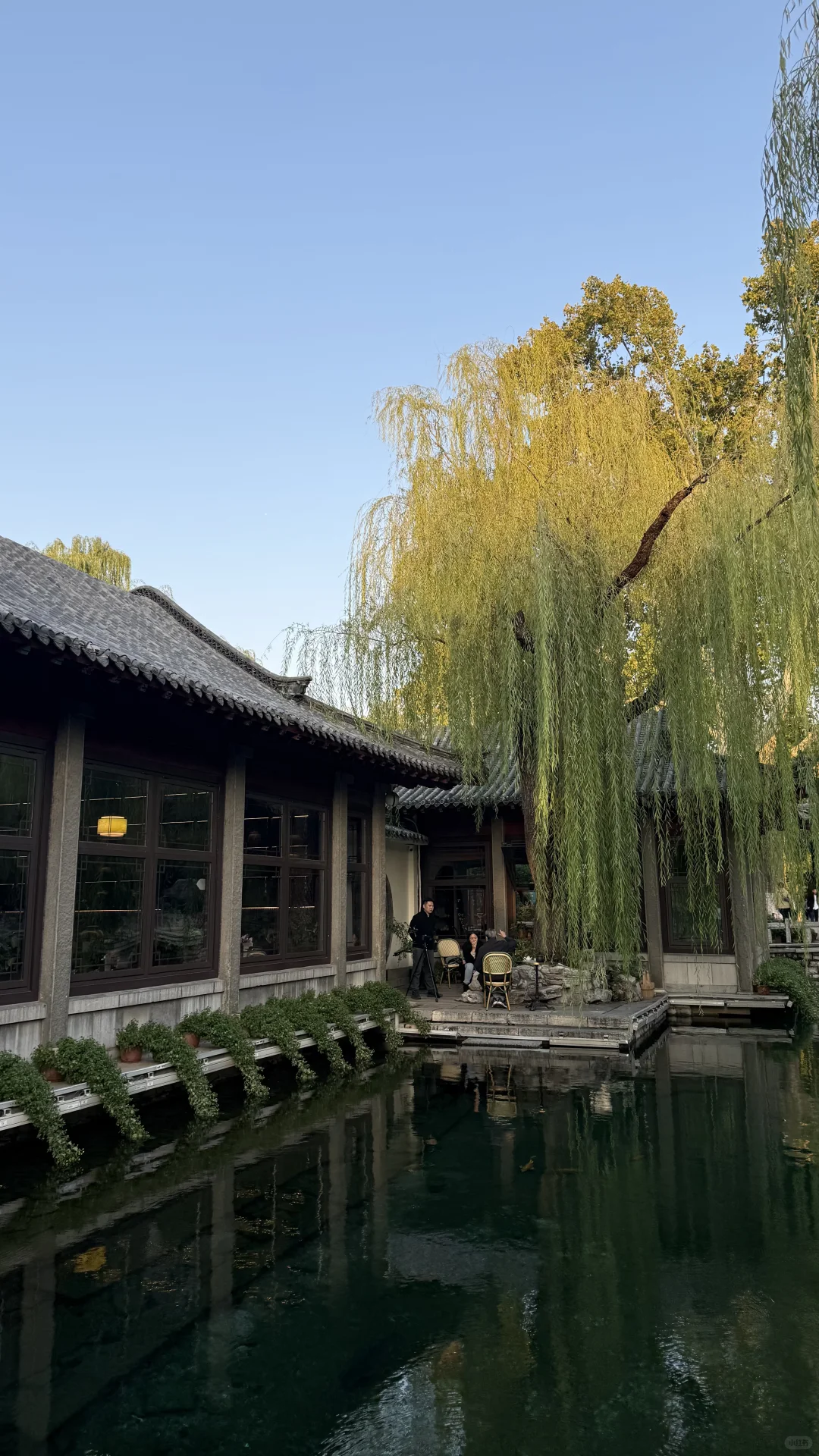 趵突泉超绝机位📷