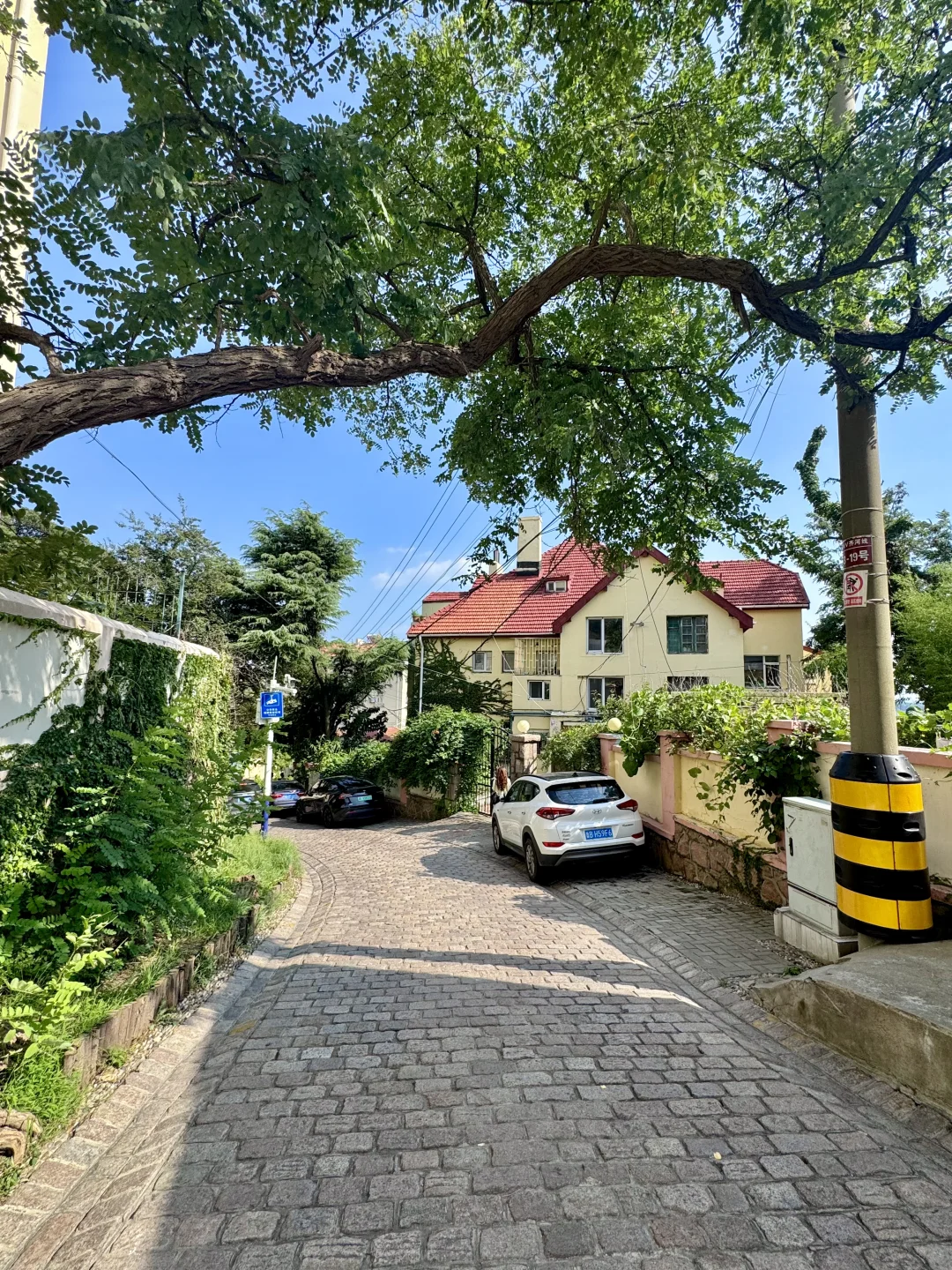 个人认为青岛最值得逛的citywalk路线(老城)