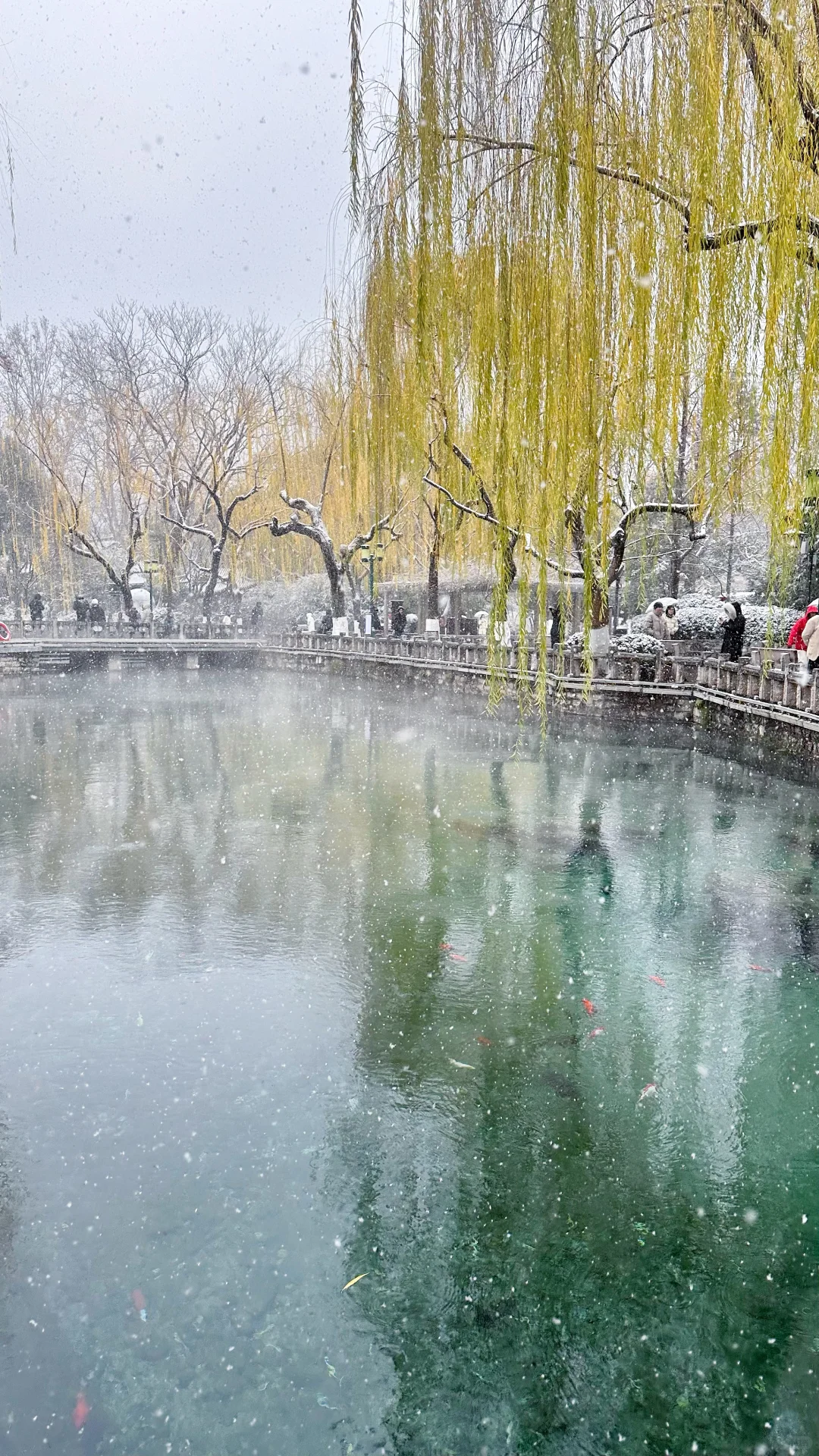 2025.12.12 ❄️济南初雪变大雪！！