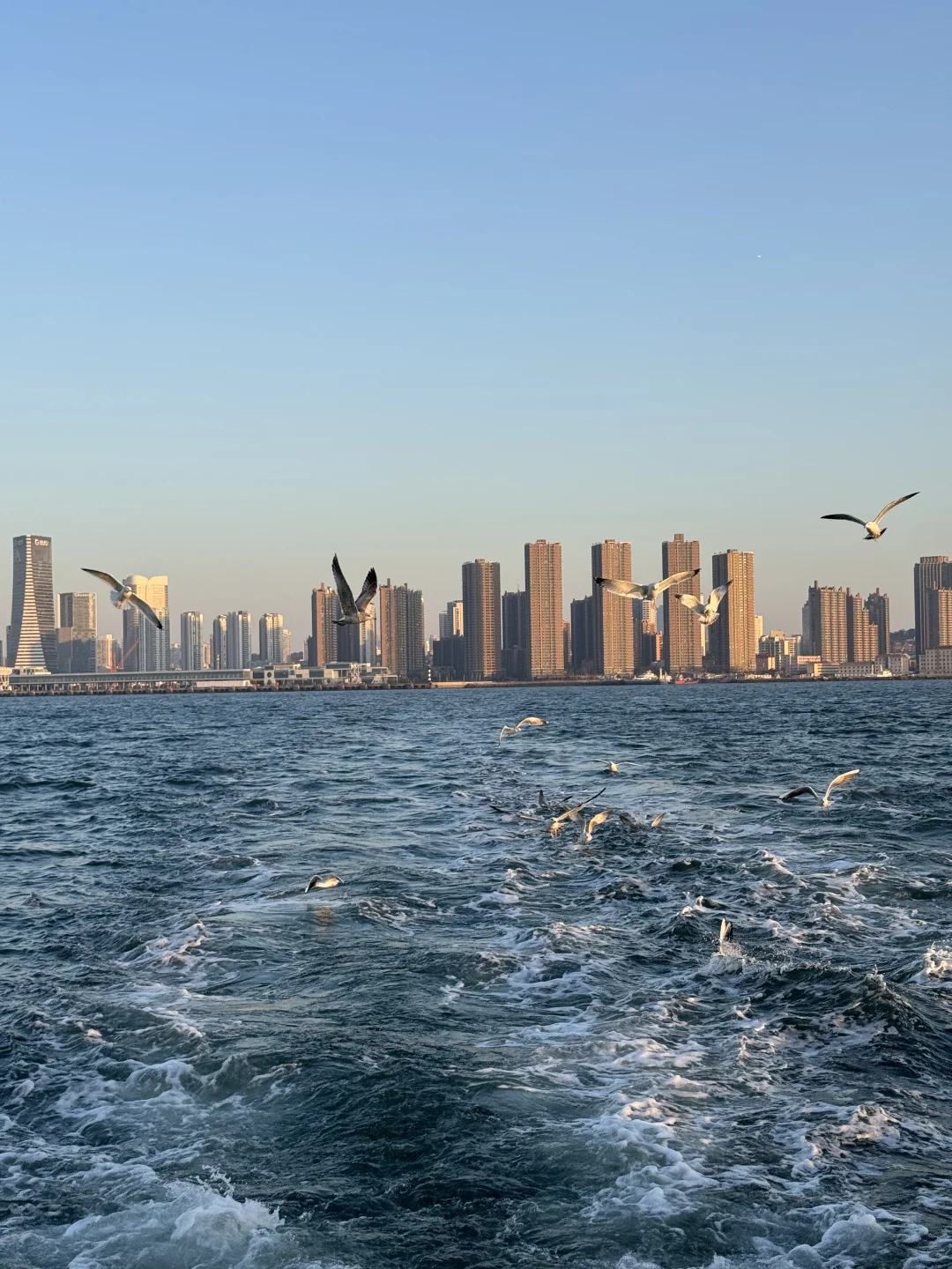 青岛轮渡⛴️与陆地失联的三十分钟