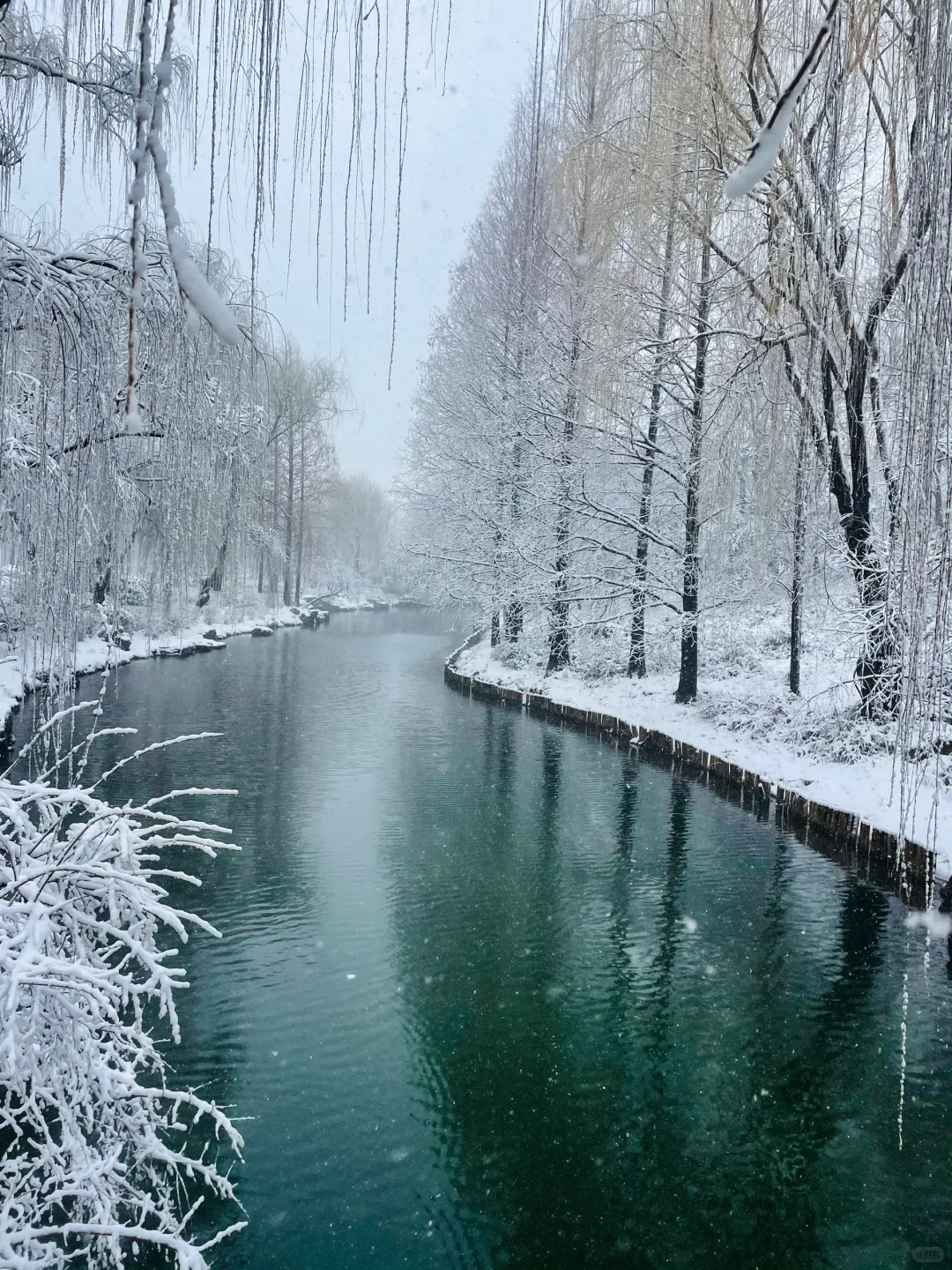 暴雪中的济南府已经美到了next level