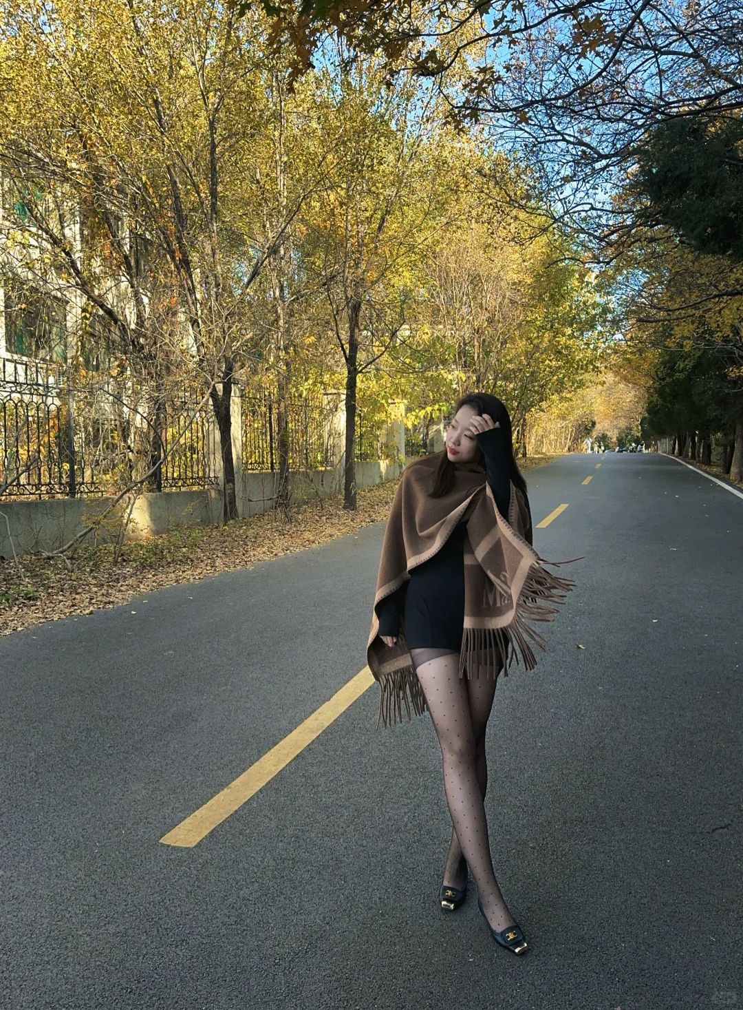 千佛山西路的晚秋🍂