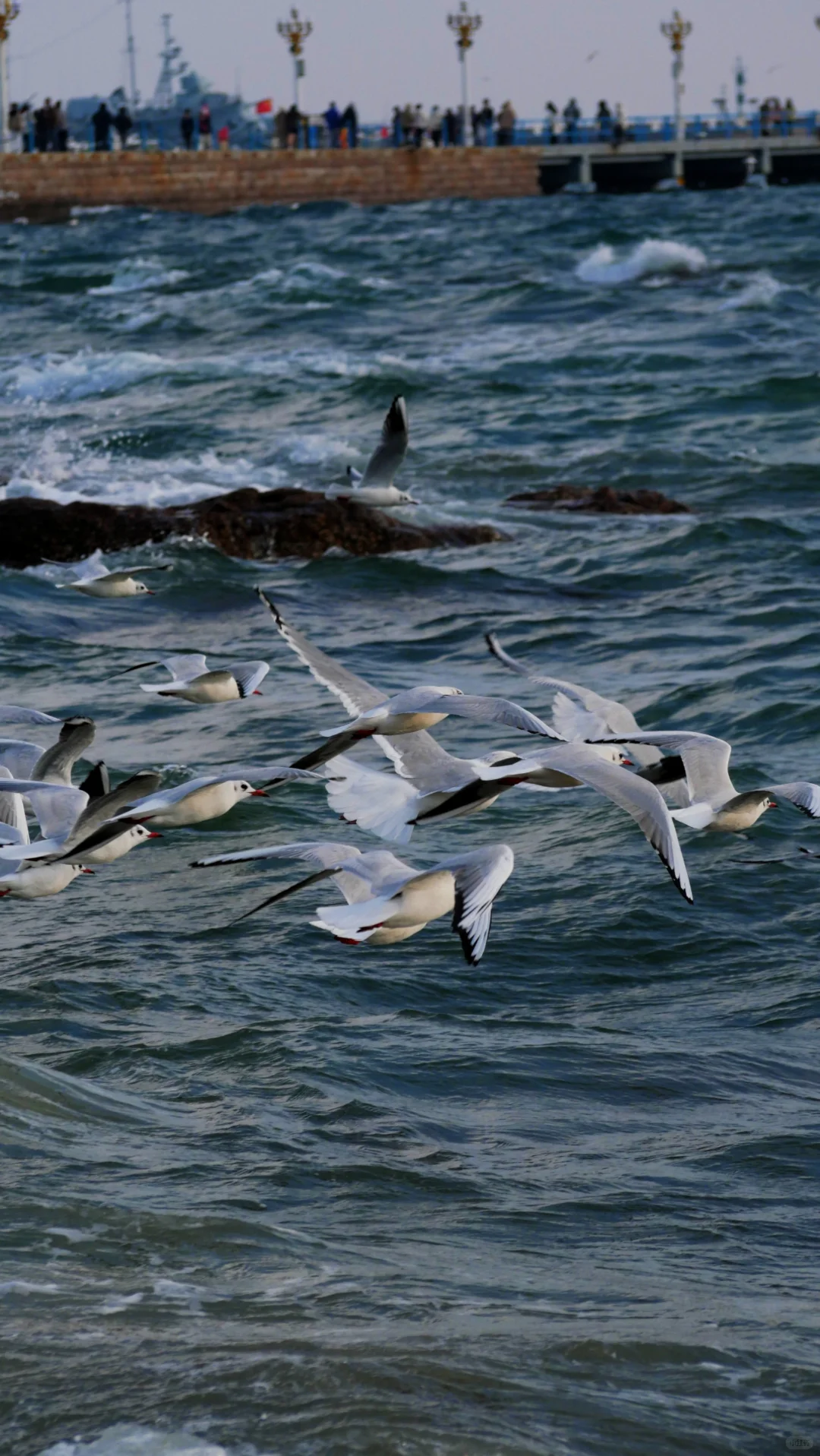 GH7+40150｜关于青岛一些拍摄