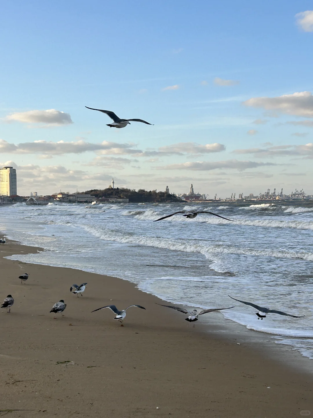 烟台！！12·11实拍！又是浪漫的一天啊