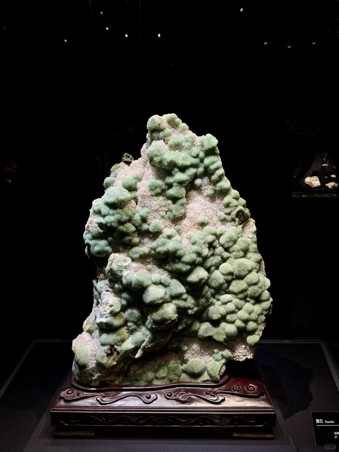 山东博物馆欠全国一个解释？？？？？？？？？？