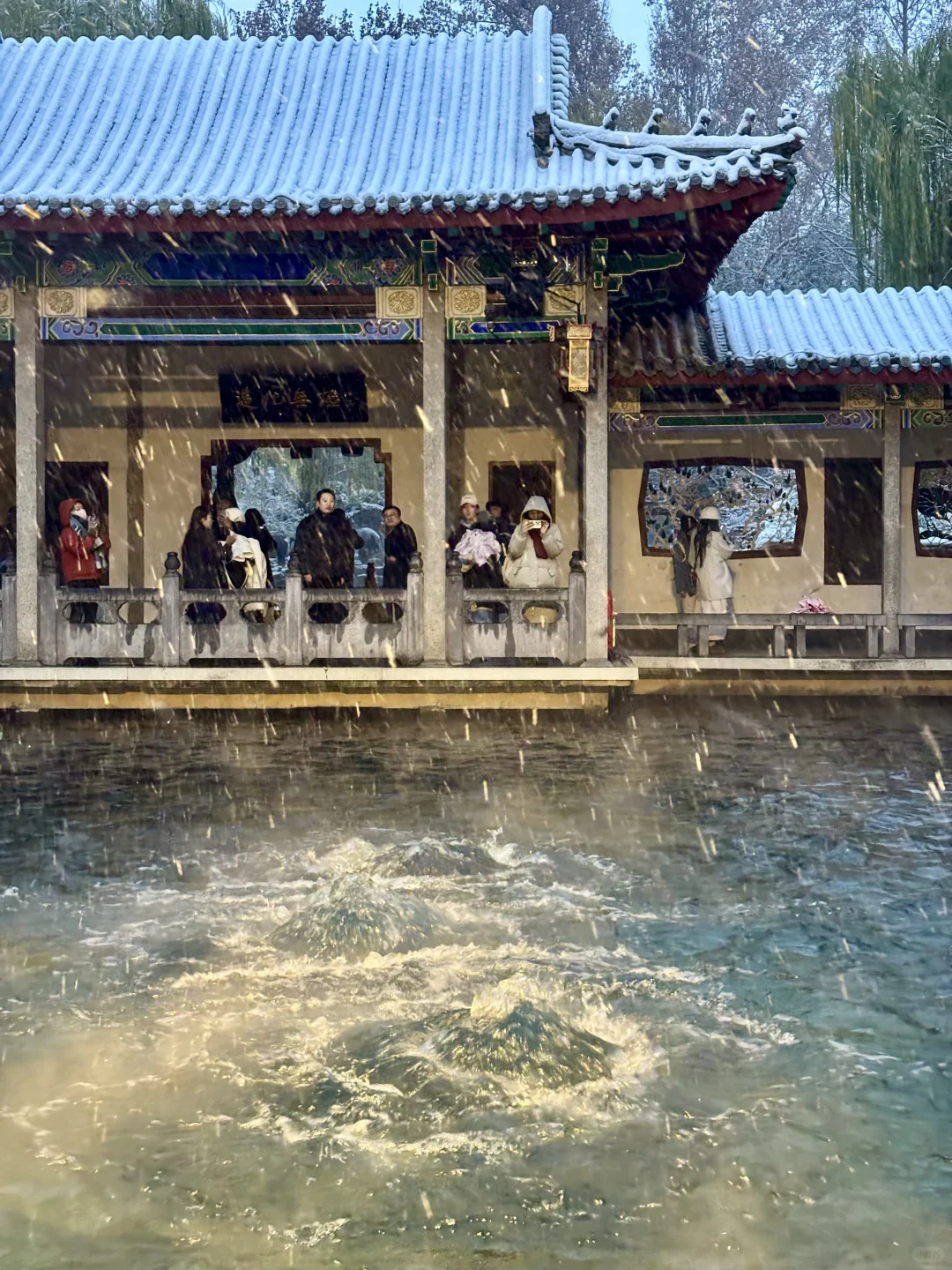 12.12趵突泉live❄️济南的初雪如约而至