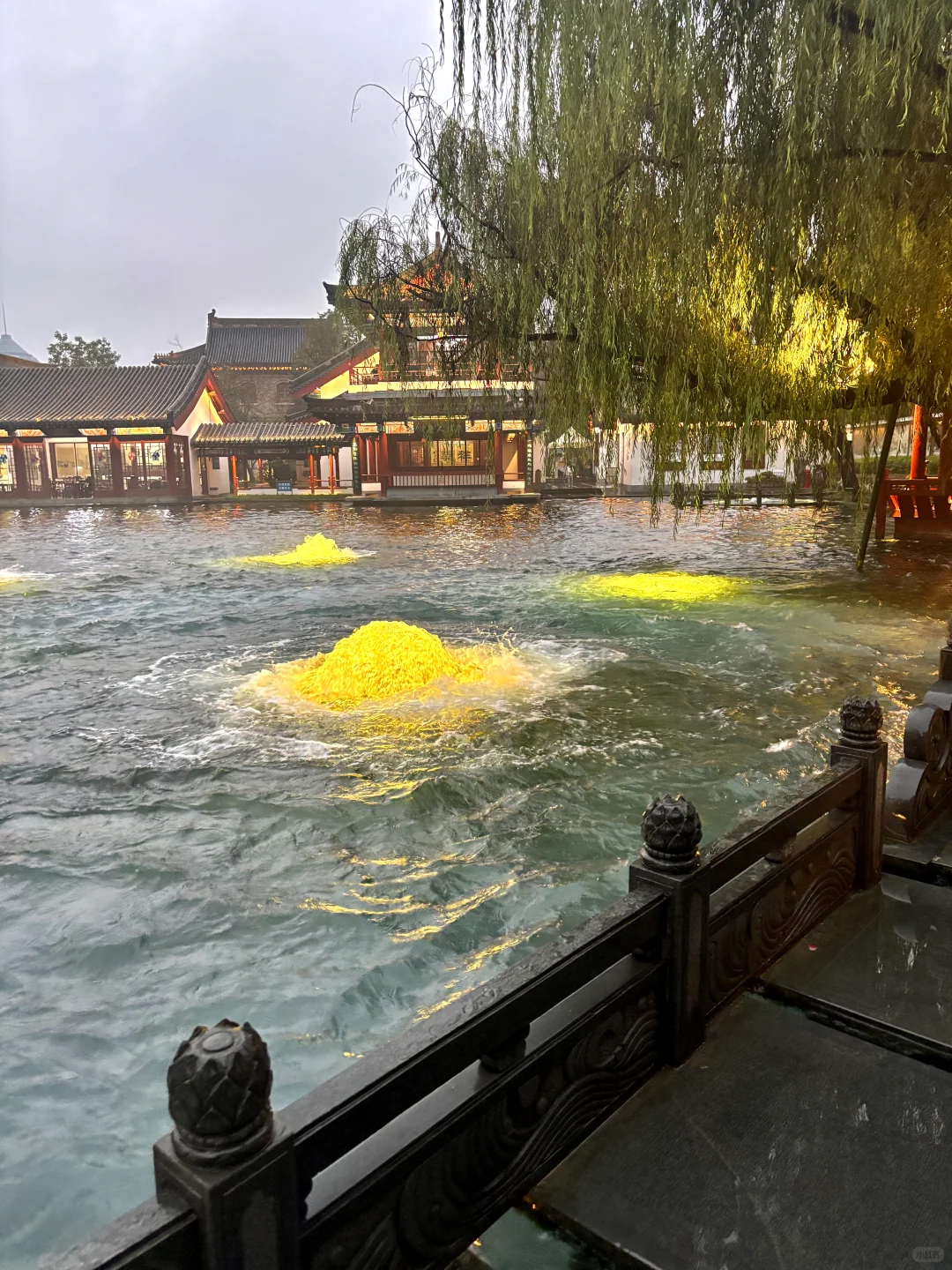 没来章丘之前，真没见过这样壮观的泉水