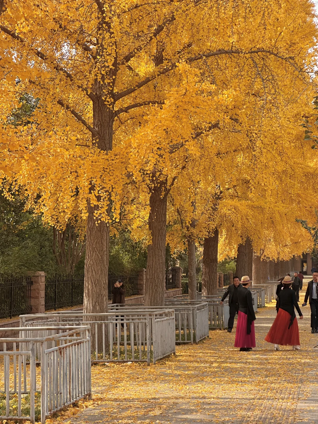 济南此刻！！今天的英雄山杀疯了啊啊啊啊！！🍁