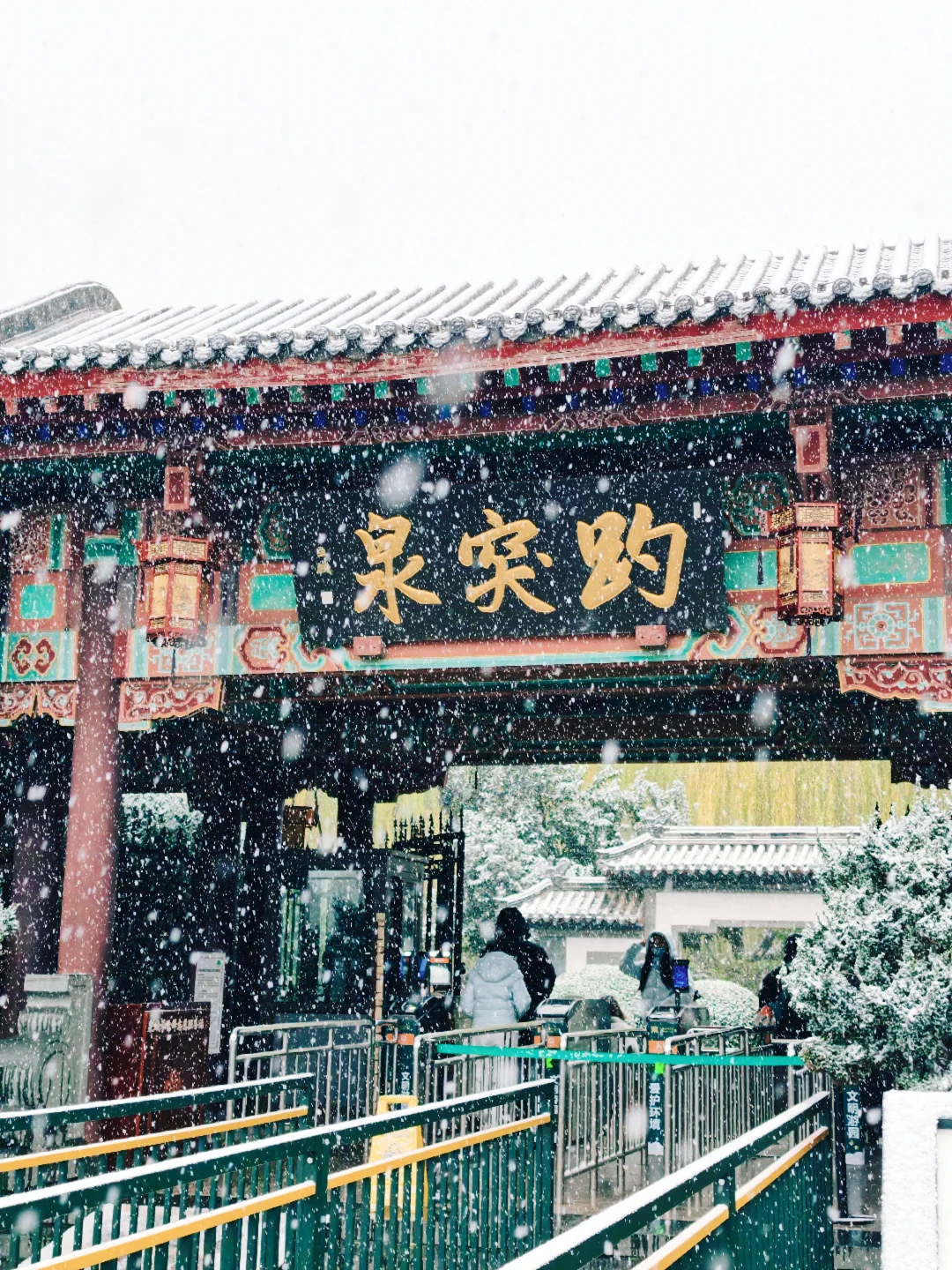 雪中趵突泉，美疯了