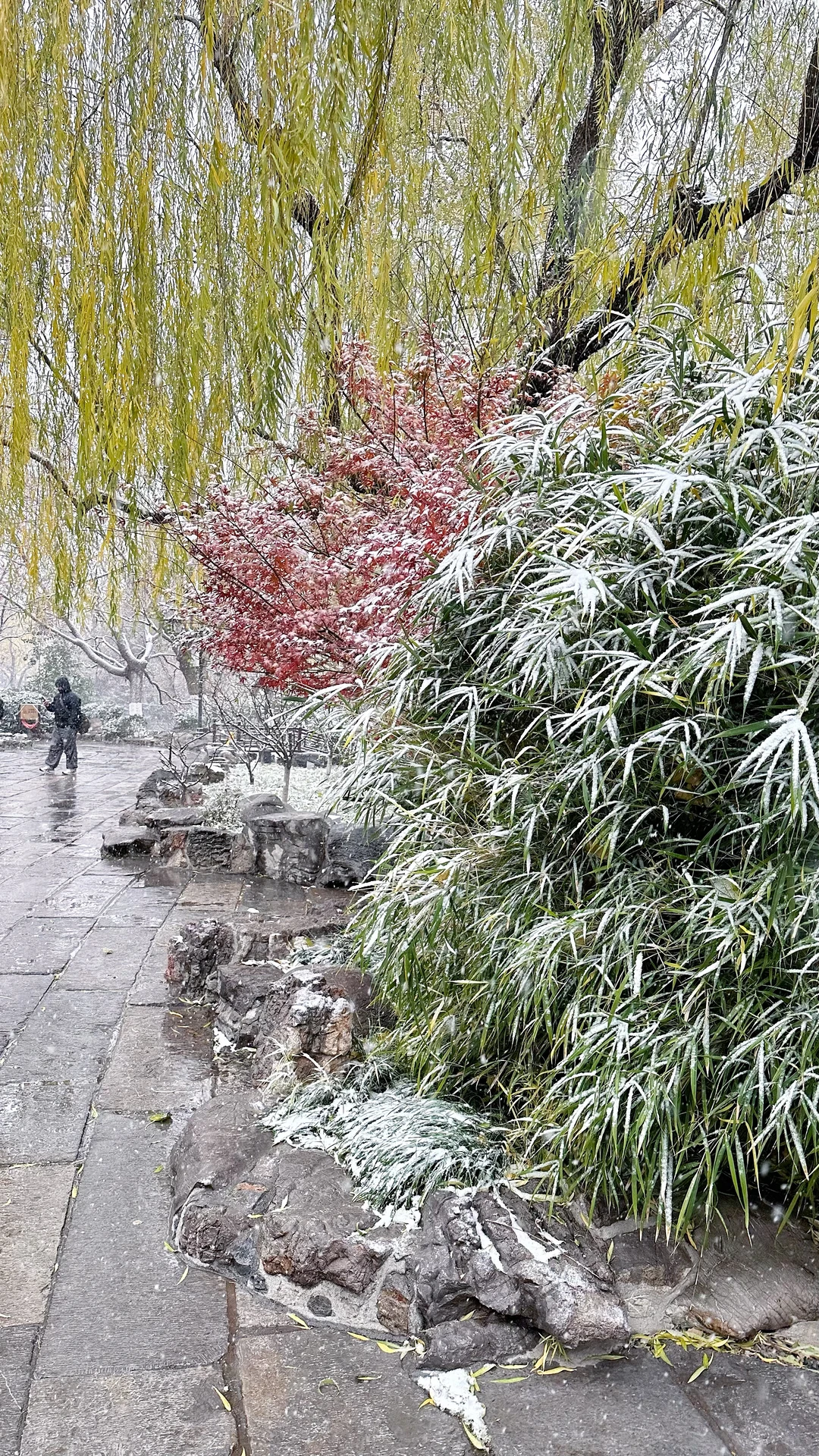 2025.12.12 ❄️济南初雪变大雪！！