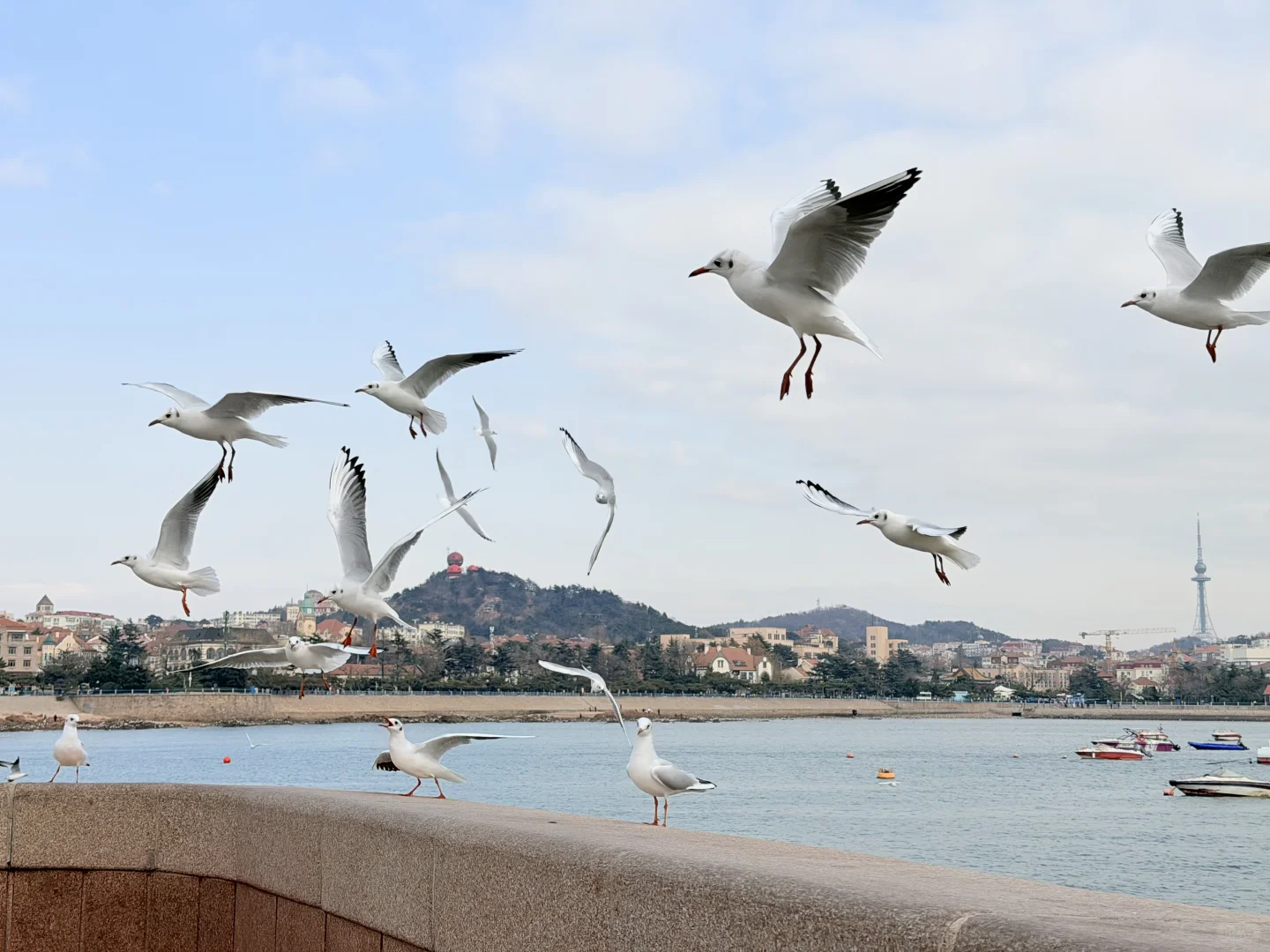 青岛三天两夜懒人路线｜老城·山海·松弛感