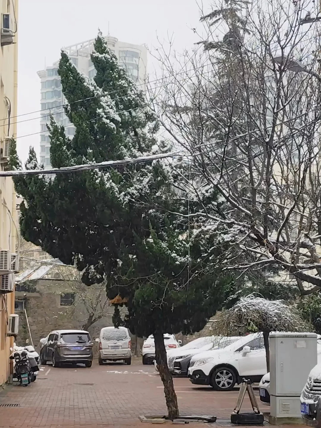 青岛天气穿衣实况❄️12月13日还在下雪~