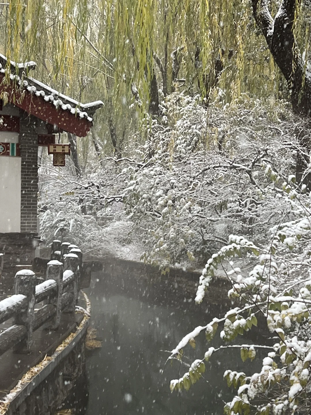 济南12.12实况。。。暴雪中的趵突泉杀疯了！！