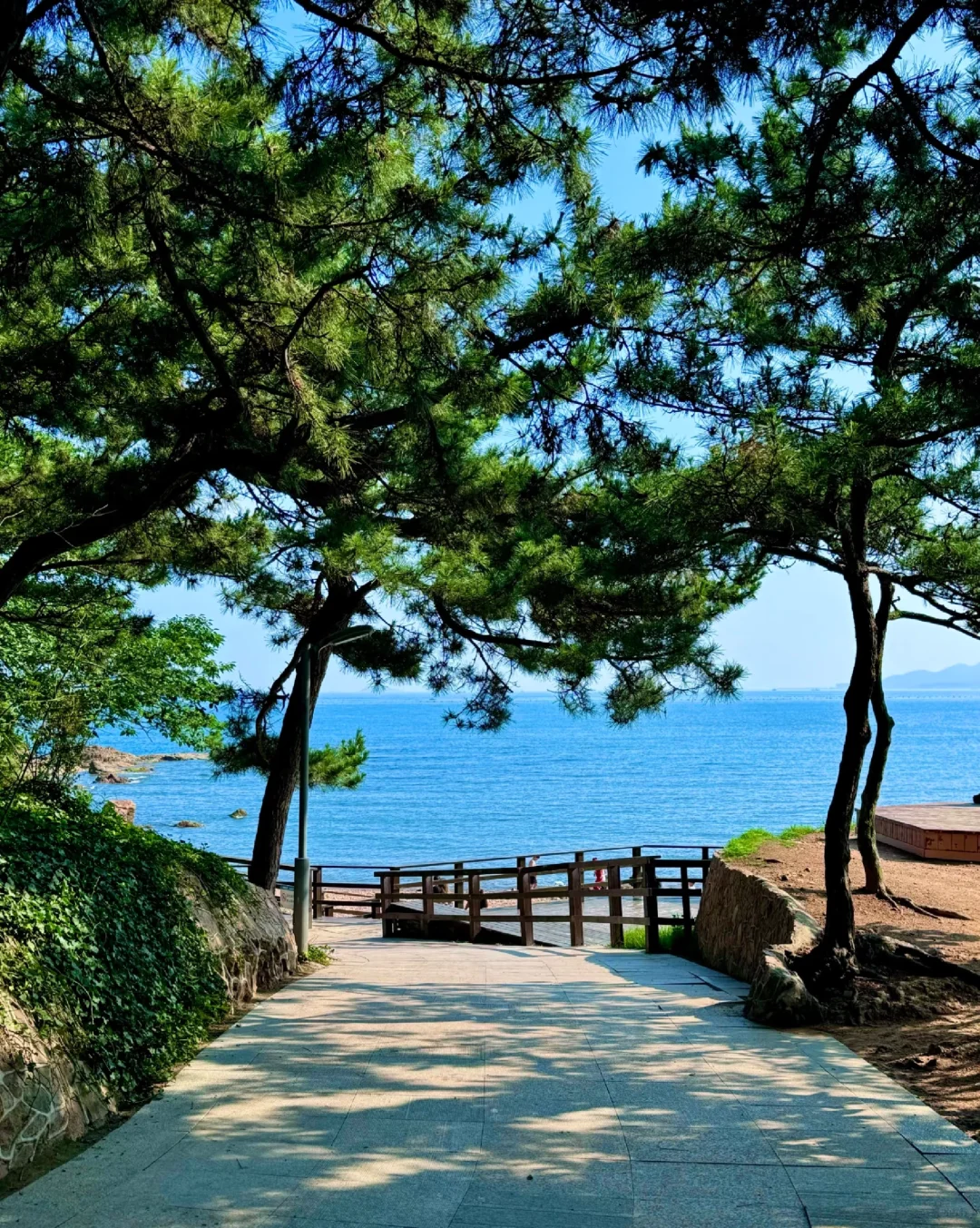 青岛欢迎姐妹来乘风破浪（义工旅居）