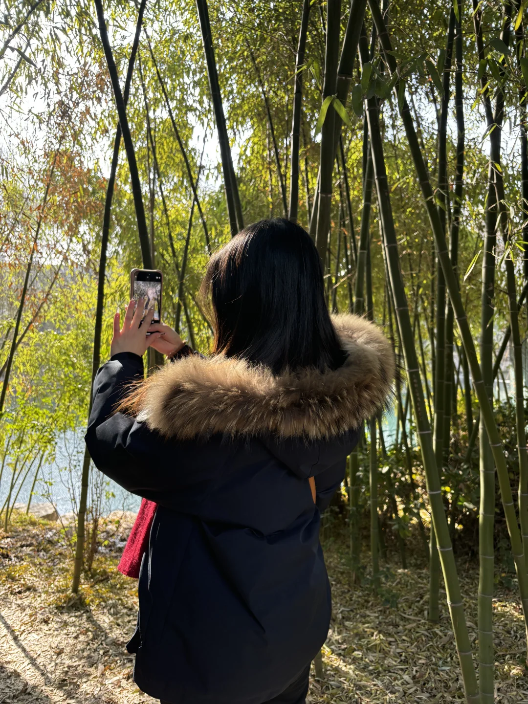 淡季青岛-济南-威海学生党攻略