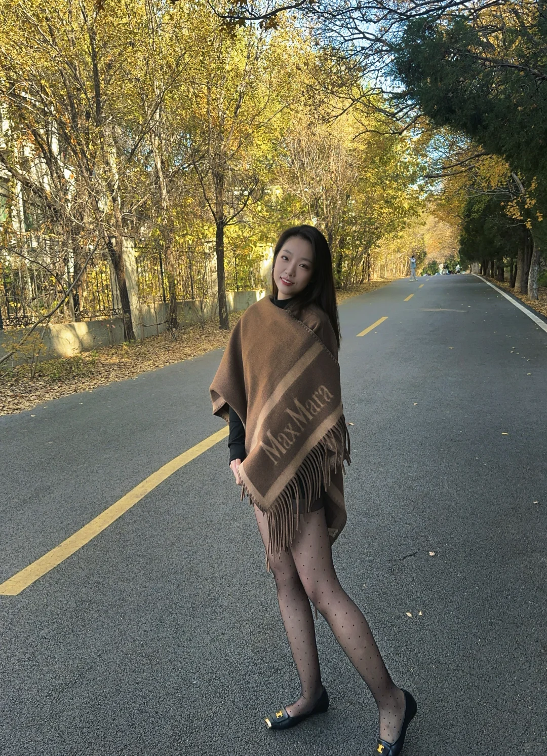 千佛山西路的晚秋🍂