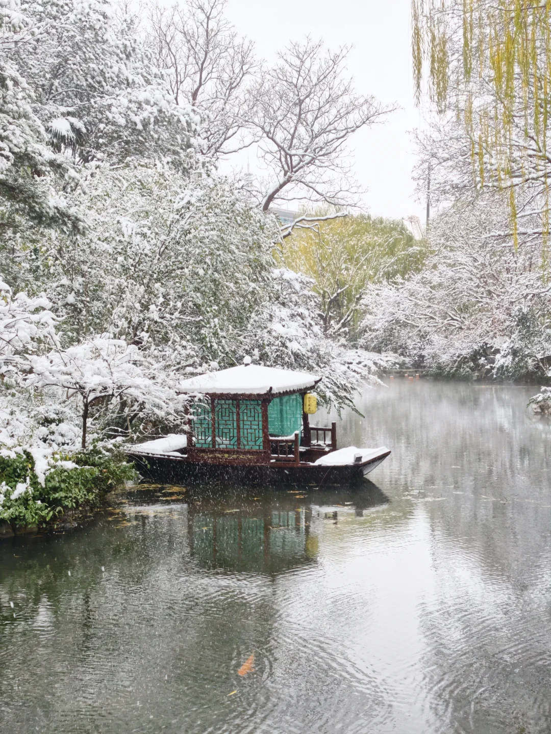 雪中趵突泉，美疯了