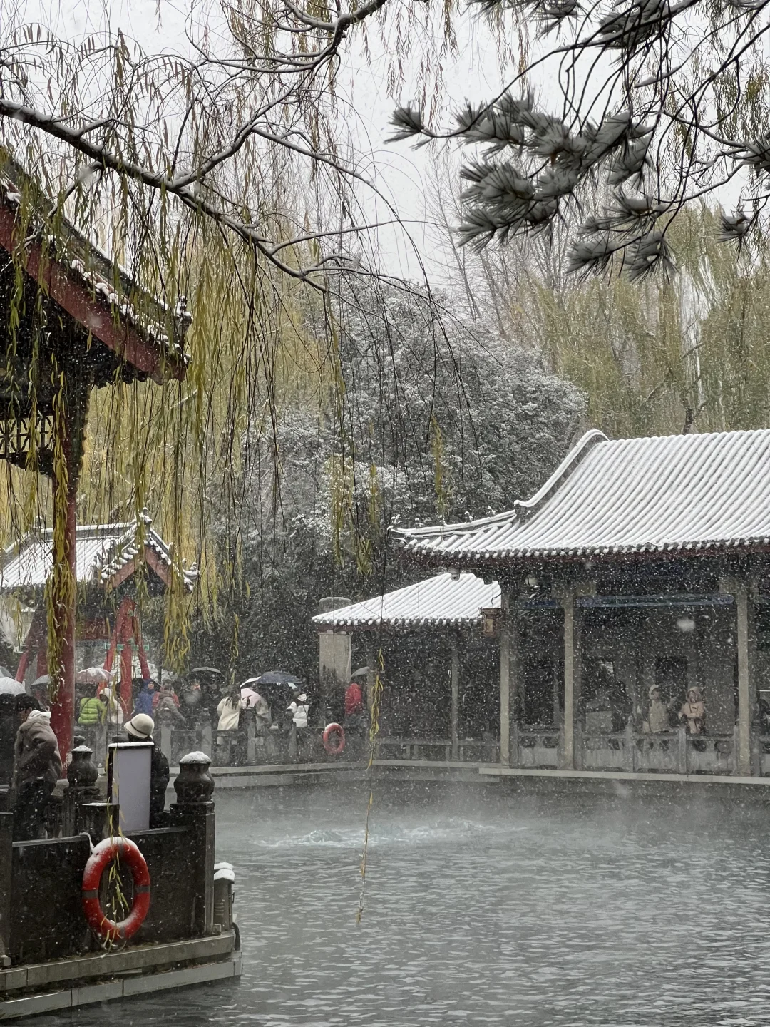 济南12.12实况。。。暴雪中的趵突泉杀疯了！！