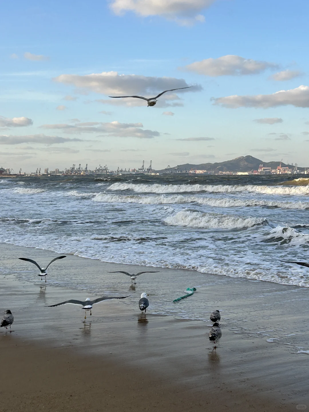 烟台！！12·11实拍！又是浪漫的一天啊