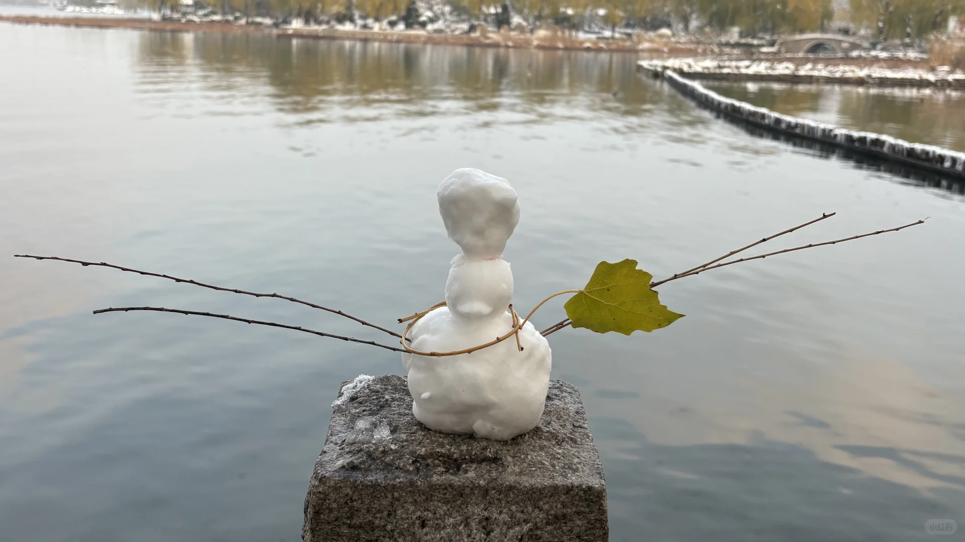 济南大明湖 大家真的太可爱了