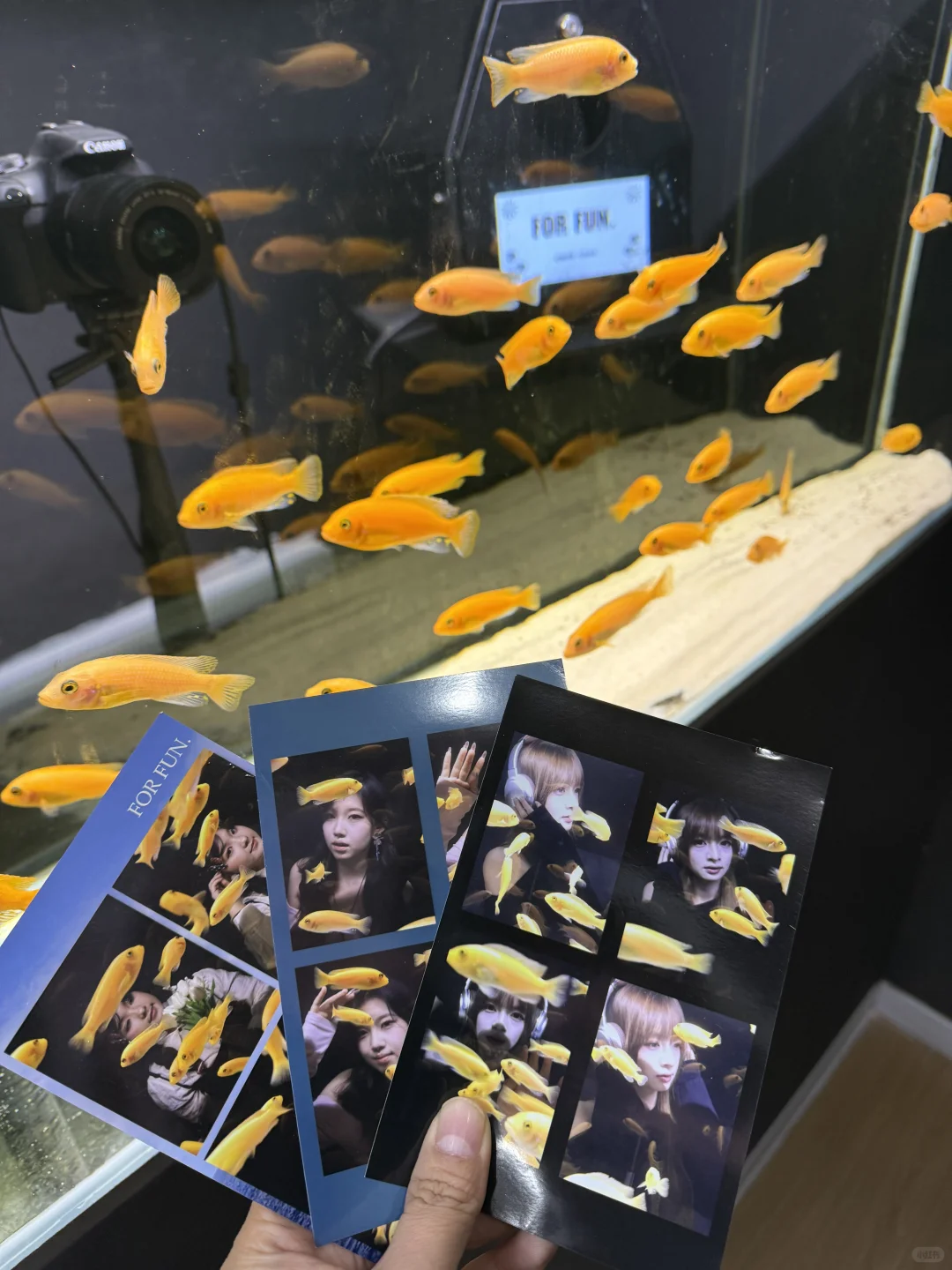 济南！i 人一定要冲！全自助自拍馆！巨出片！