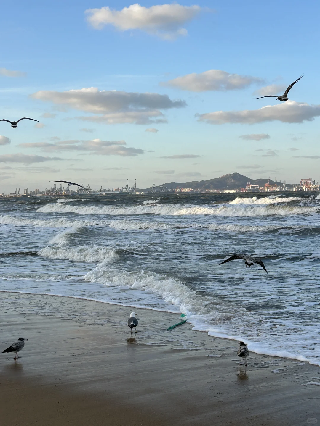 烟台！！12·11实拍！又是浪漫的一天啊