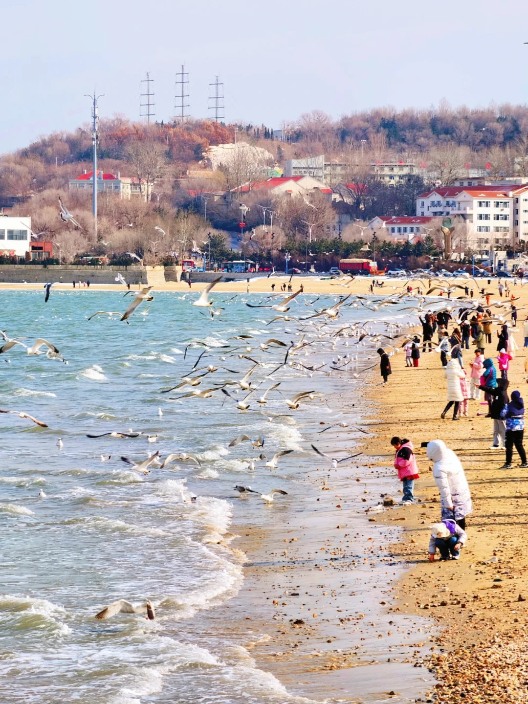 淡季的❄烟台美哭了！附冬日游玩攻略！