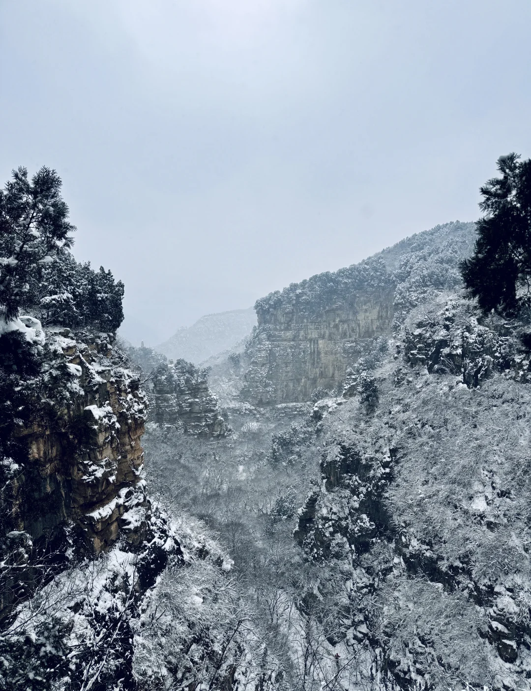 不是玉珠峰去不起，而是龙洞更有性价比