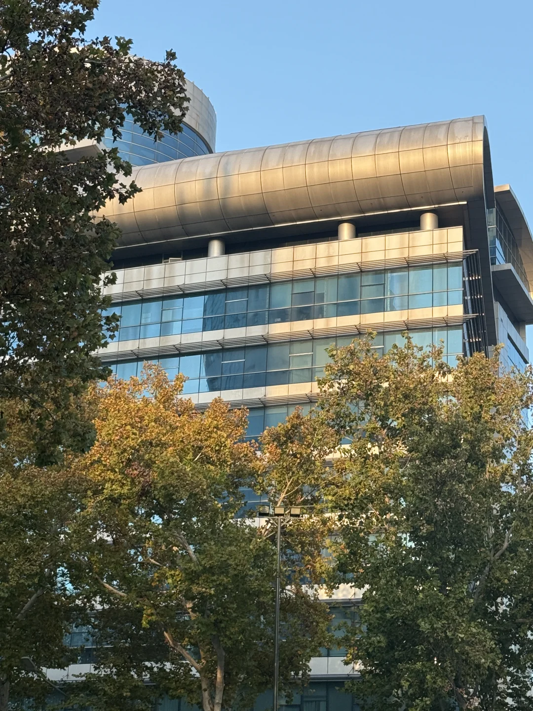 拍到了经三路的秋天🍂