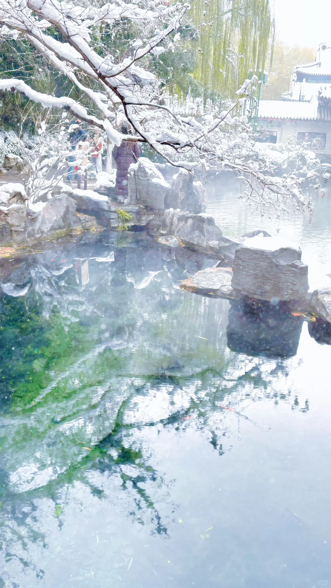 Live济南初雪！趵突泉在雪中沸腾成仙境️❄️