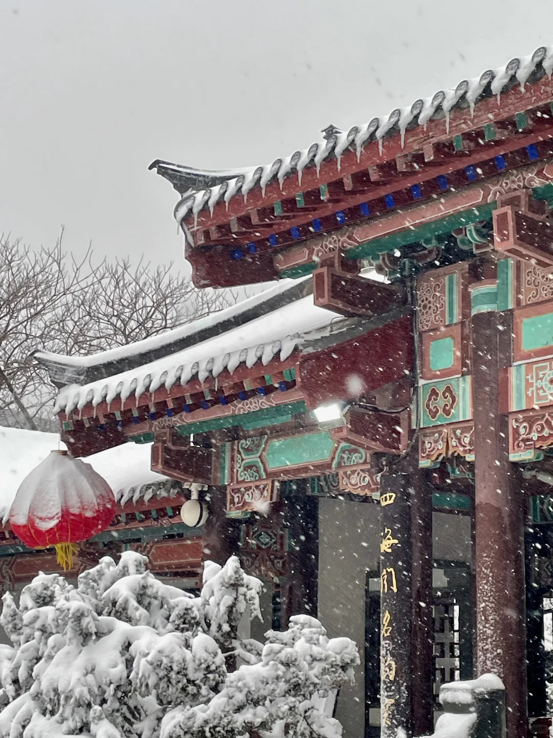 12.13实况！暴雪中的济南杀疯了！美哭😭😭😭