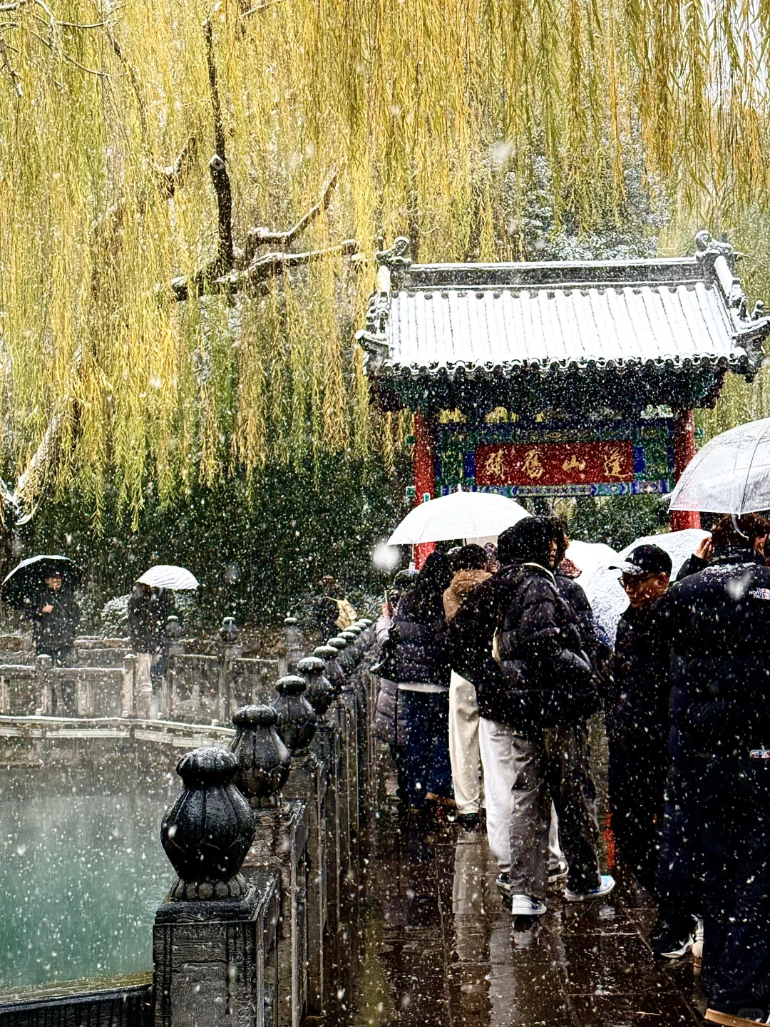 12.12 济南的初雪 杀疯了 （最全机位分享）