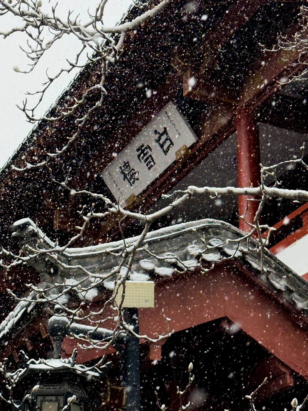 12.12 济南的初雪 杀疯了 （最全机位分享）