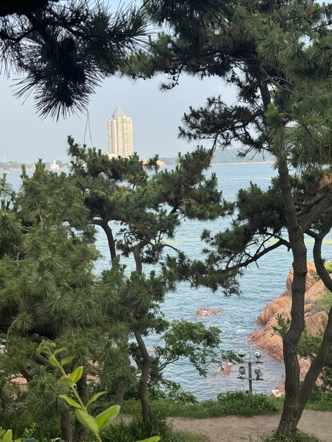 青岛3天2晚📷攻略奉上（穷游版）攻略上