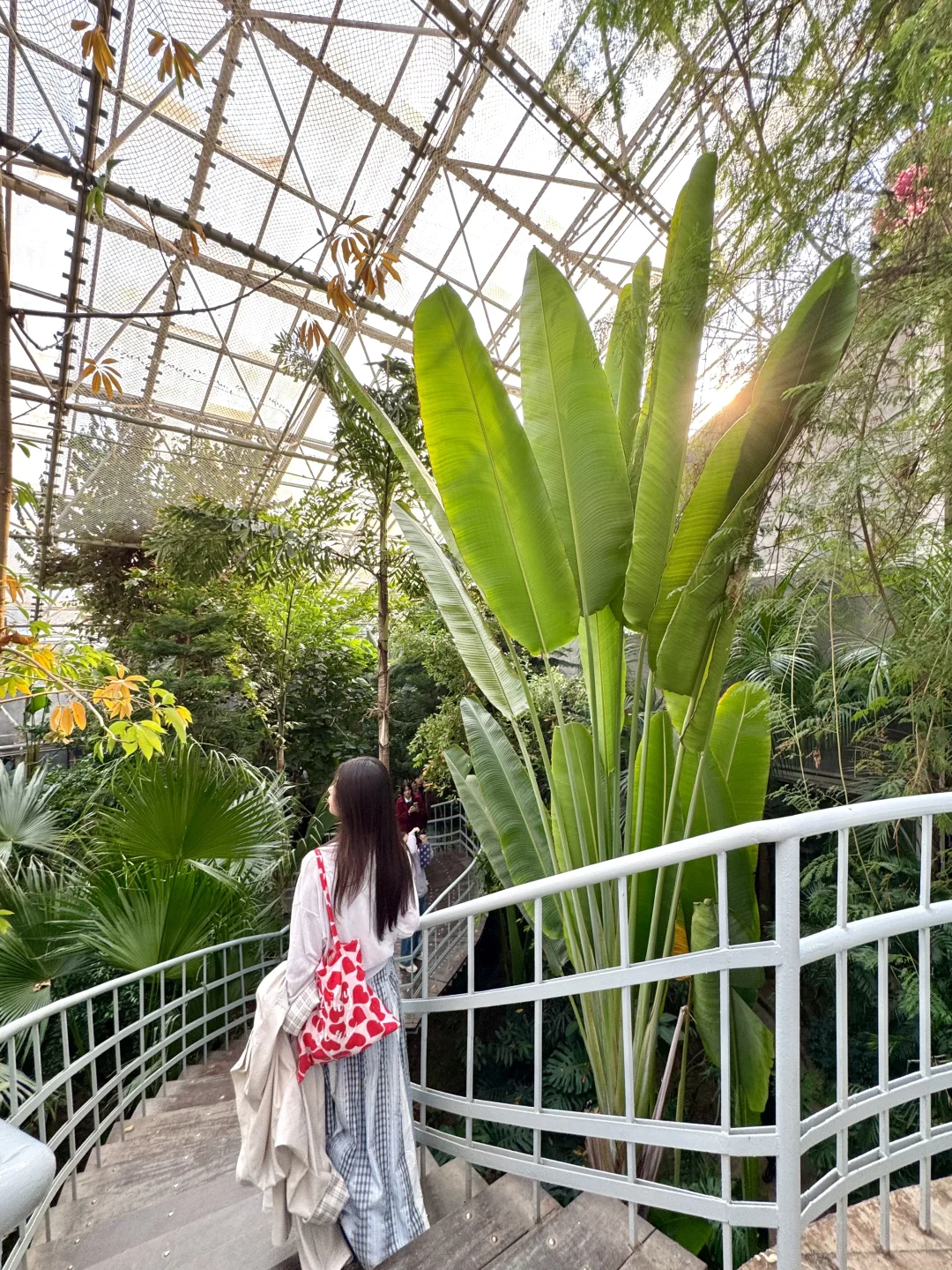 济南最chill的地方都是免费的！（Live合集）