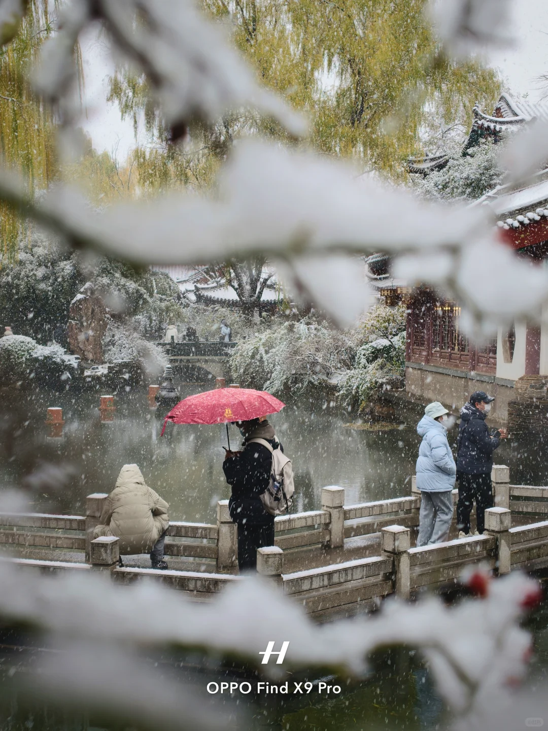济南！！趵突泉的初雪真的杀疯了！😱