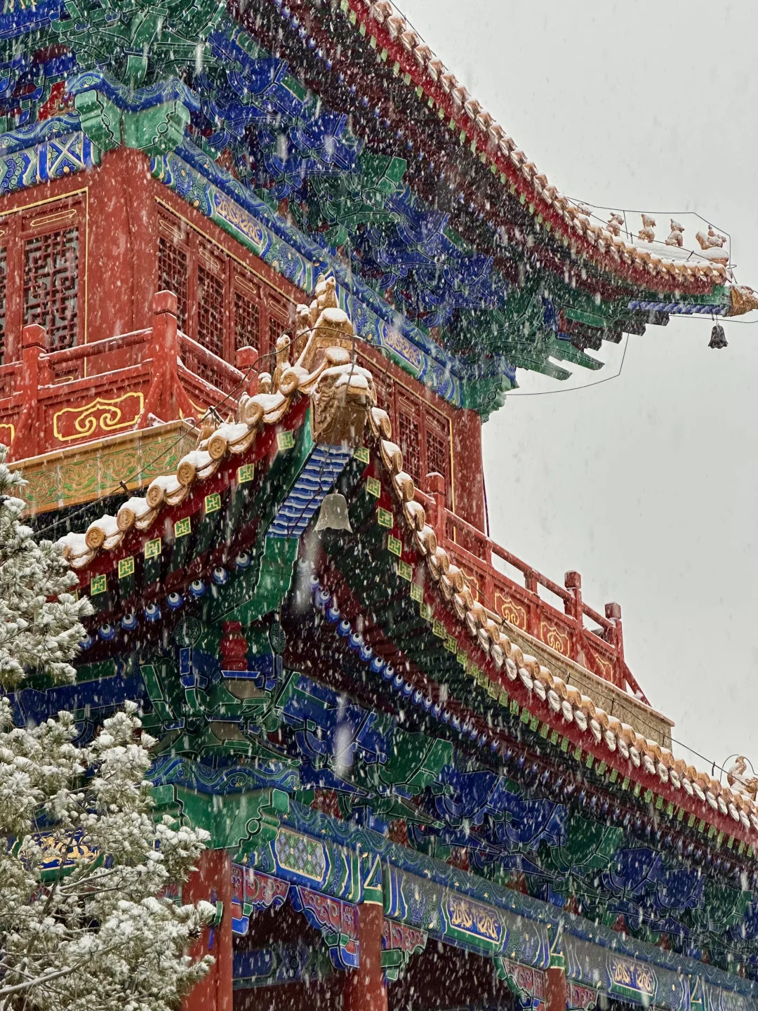 实况live！济南初雪❄️美疯了啊啊啊啊！！！！！