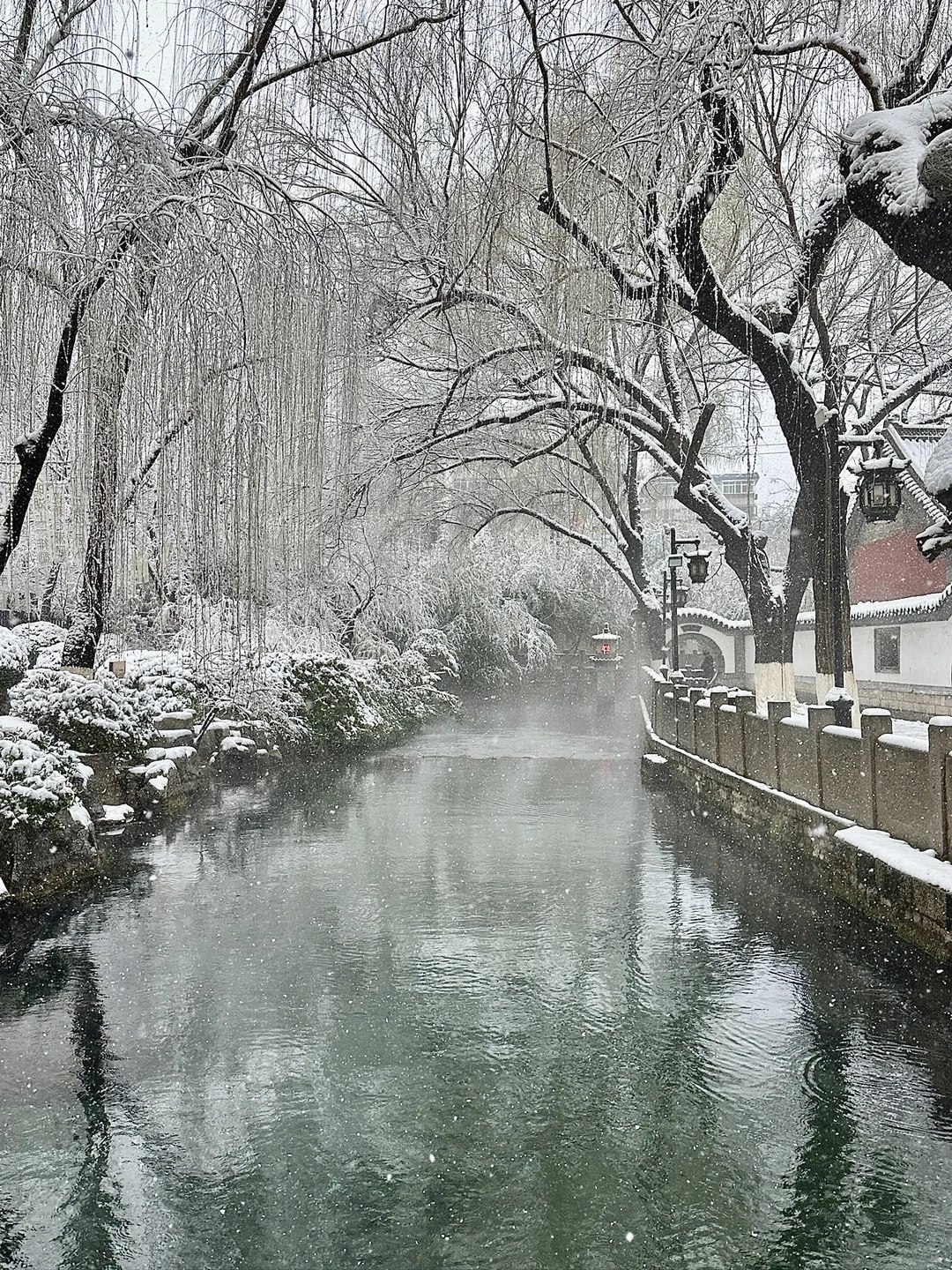 济南！雪中趵突泉杀疯了！！！！！！！！！！！！