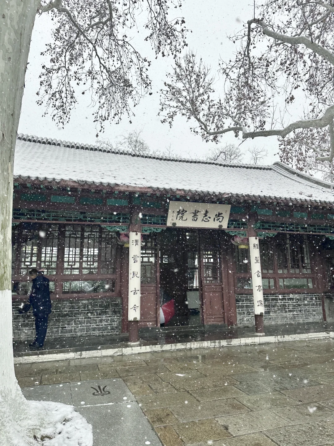 拍到了初雪的趵突泉！济南12月12暴雪实况！