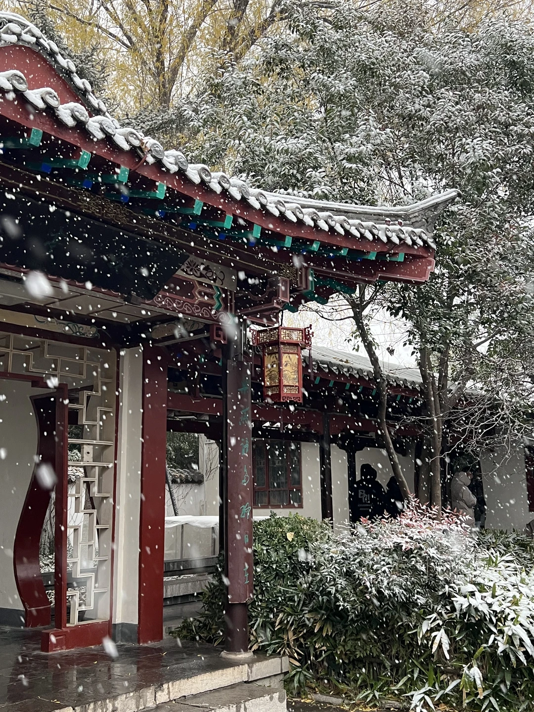 济南12.12实况。。。暴雪中的趵突泉杀疯了！！