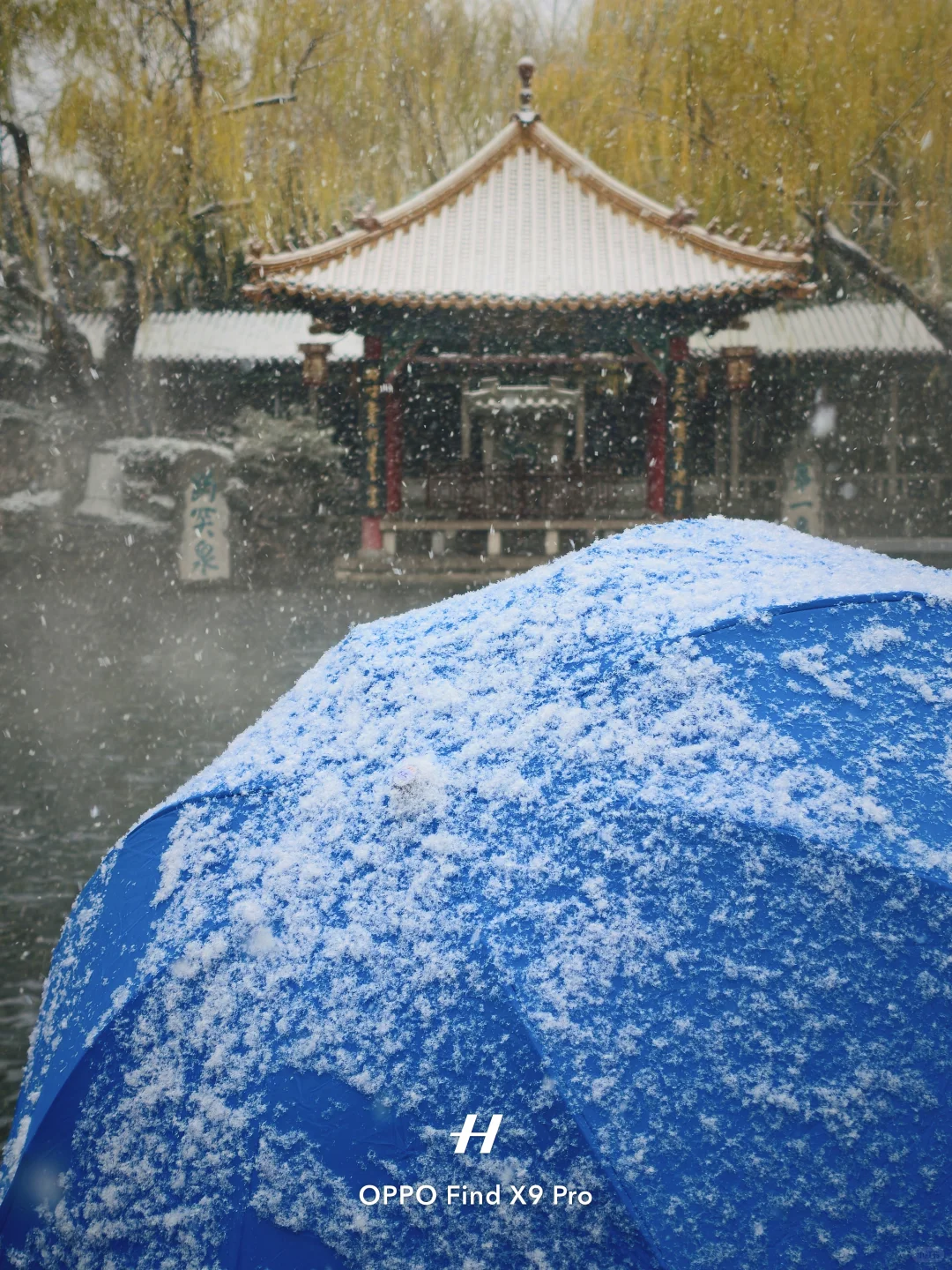 济南！！趵突泉的初雪真的杀疯了！😱