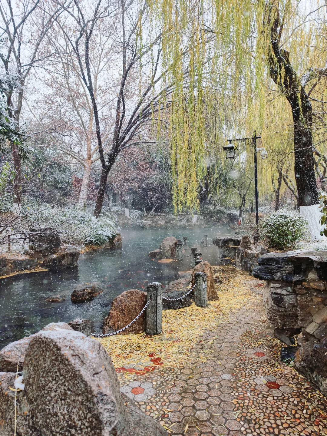 雪中趵突泉，美疯了