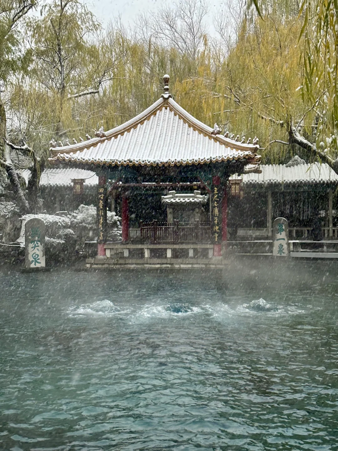 12.12趵突泉live❄️济南的初雪如约而至