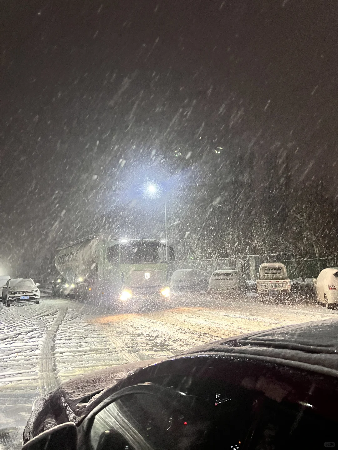 济南这场雪是要美死谁嘛🥹