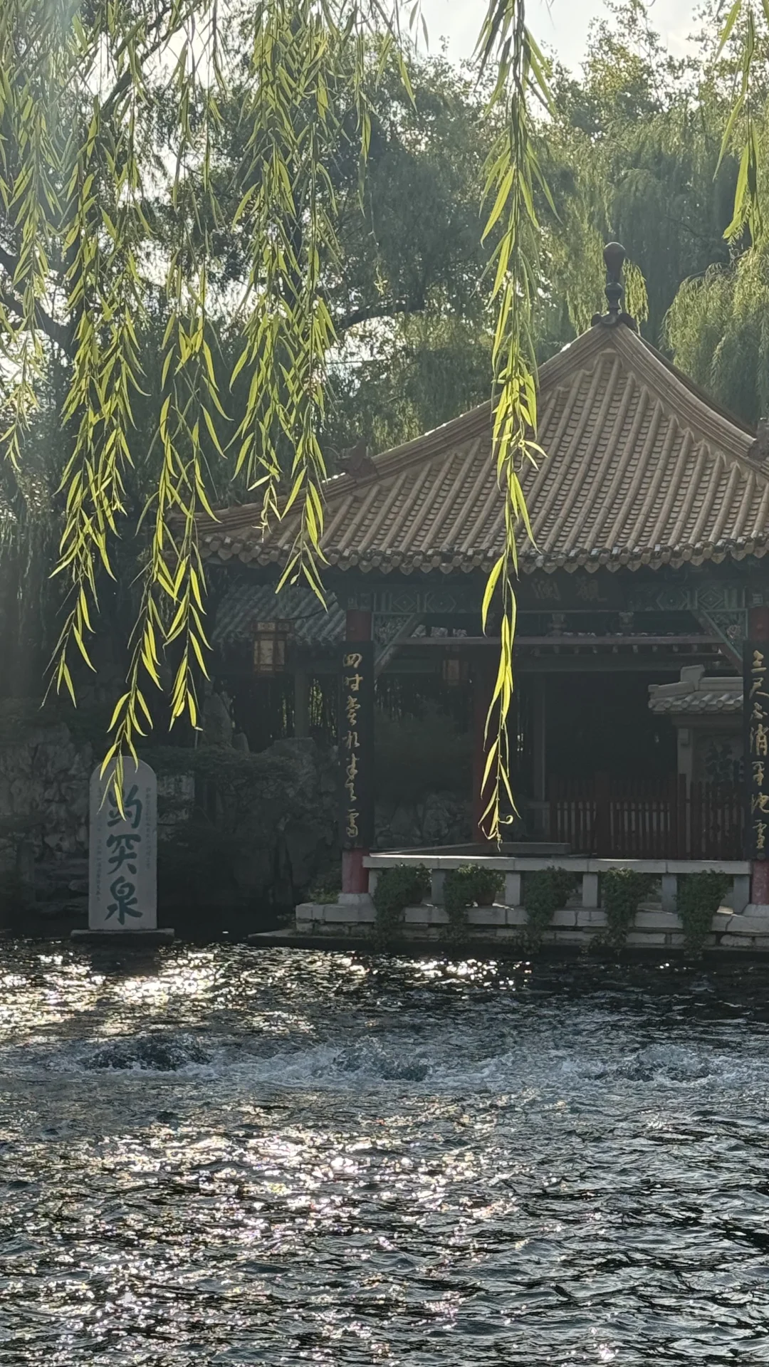 趵突泉超绝机位📷