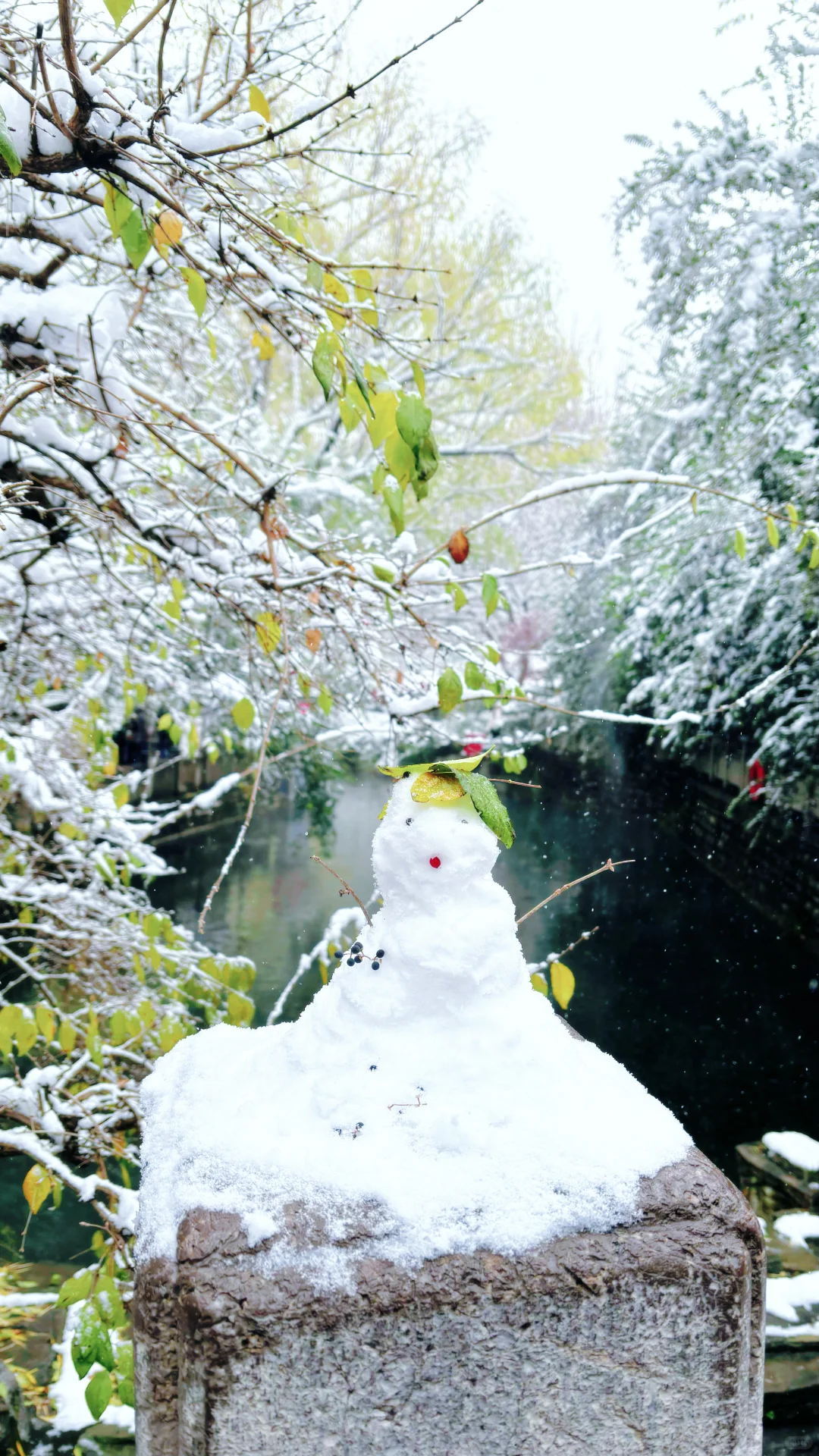 Live济南初雪！趵突泉在雪中沸腾成仙境️❄️