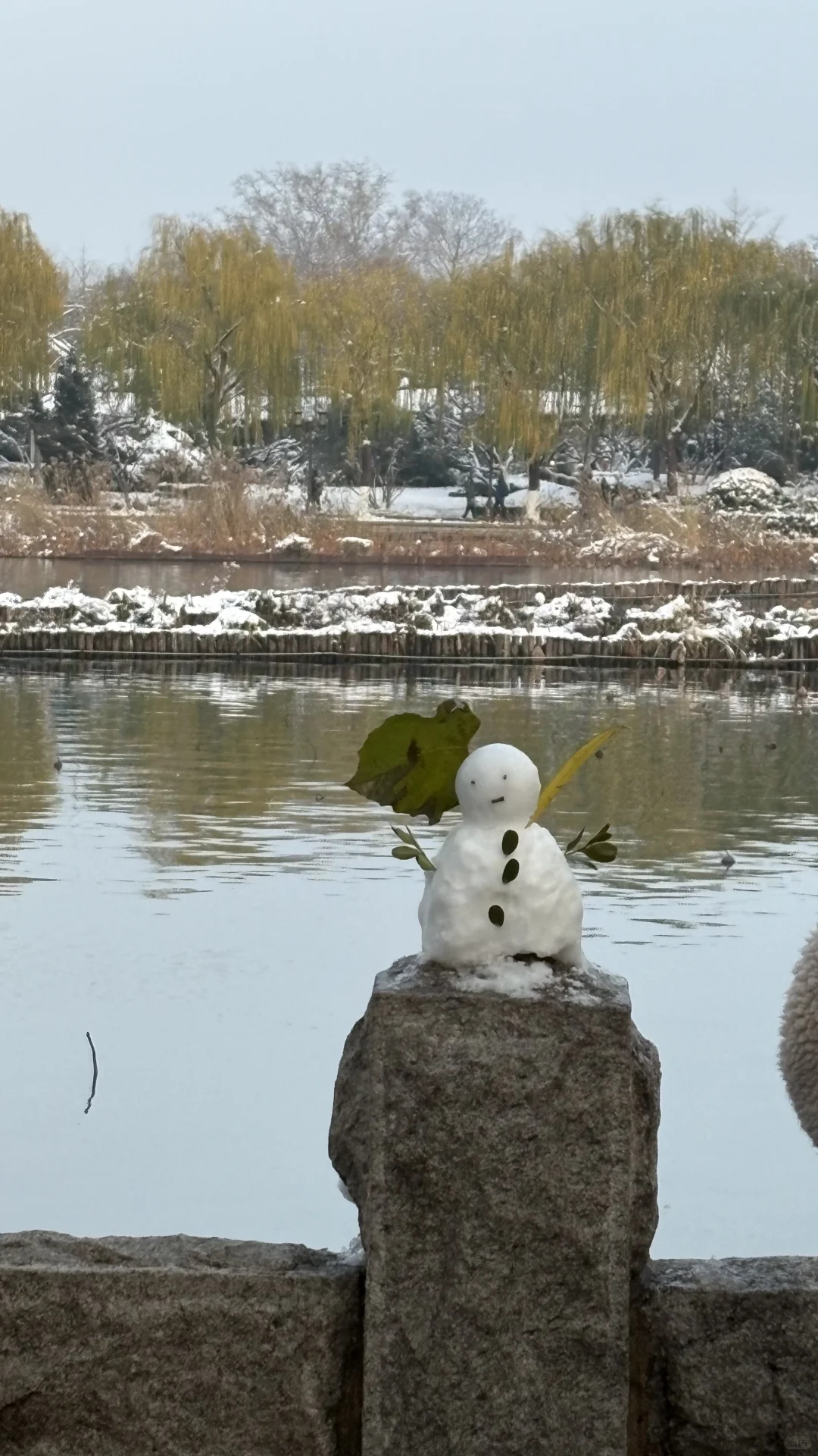 济南大明湖 大家真的太可爱了