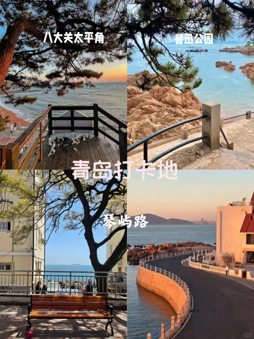 📍青岛｜去看看有海的青岛吧🌊